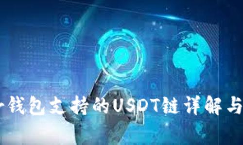 : Ledger钱包支持的USDT链详解与使用指南