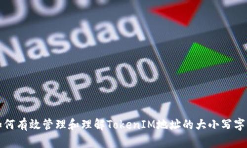 如何有效管理和理解TokenIM地址的大小写字母
