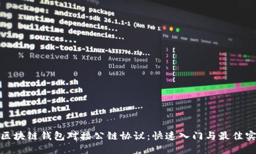 : 区块链钱包对接公链协议：快速入门与最佳实践