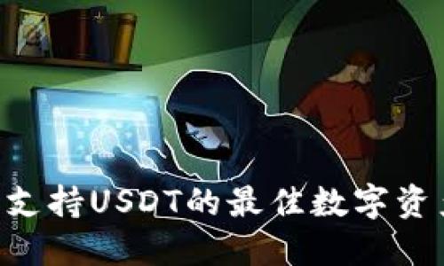 USDT钱包推荐：支持USDT的最佳数字资产钱包详细指南