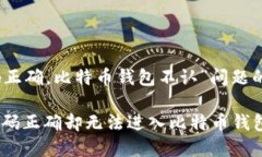 关于“密码正确，比特币