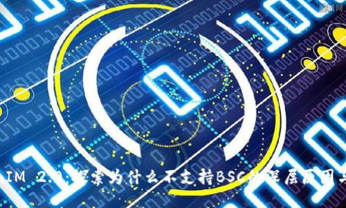 TokenIM 2.0：探索为什么不支持BSC的深层原因与影响