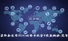 如何获取和使用BCH（比特