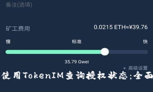 如何使用TokenIM查询授权状态：全面指南
