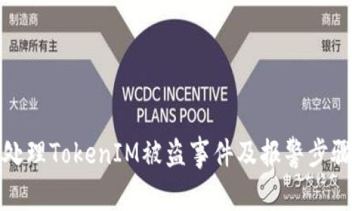 如何处理TokenIM被盗事件及报警步骤详解