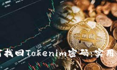 如何找回Tokenim密码：实用指南