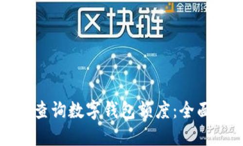 如何查询数字钱包额度：全面指南