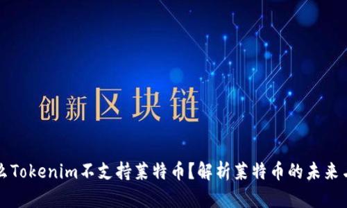 为什么Tokenim不支持莱特币？解析莱特币的未来与发展