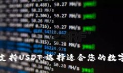 热钱包哪种支持USDT：选择