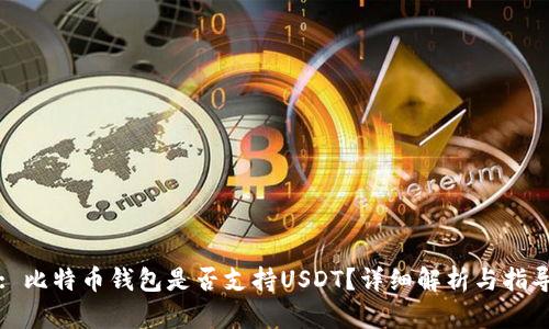 : 比特币钱包是否支持USDT？详细解析与指导