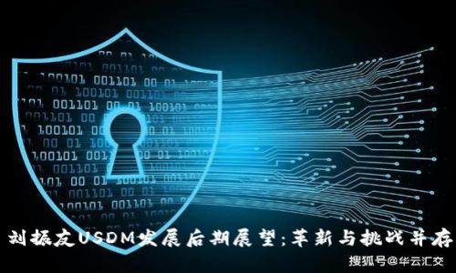 刘振友USDM发展后期展望：革新与挑战并存