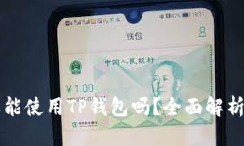 大陆用户还能使用TP钱包吗？全面解析及使用指南