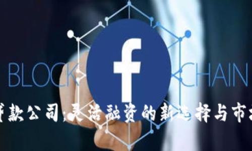小额贷款公司：灵活融资的新选择与市场前景