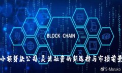 小额贷款公司：灵活融资