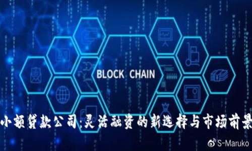 小额贷款公司：灵活融资的新选择与市场前景