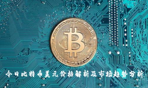 今日比特币美元价格解析及市场趋势分析