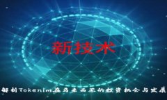 全面解析Tokenim在马来西亚