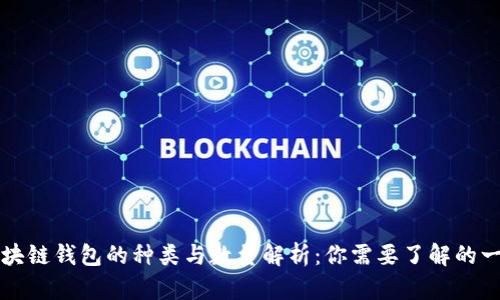 区块链钱包的种类与数量解析：你需要了解的一切