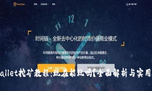TPWallet挖矿教程：现在能玩吗？全面解析与实用指南