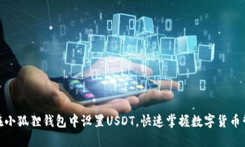 : 如何在小狐狸钱包中设置USDT，快速掌握数字货币管理技巧