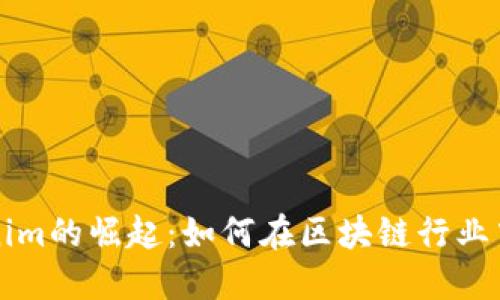 国内Tokenim的崛起：如何在区块链行业中获取成功