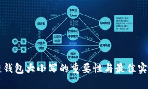 区块链钱包大小写的重要性与最佳实践指南