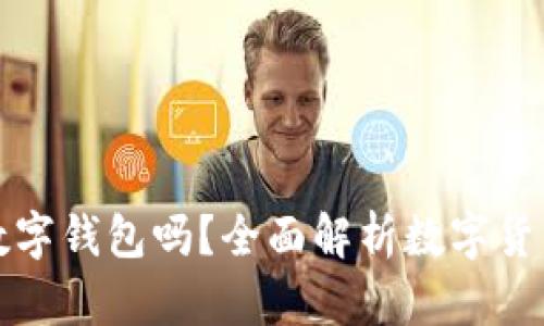 一个人可以开多个数字钱包吗？全面解析数字货币钱包的使用与限制