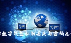 如何处理数字钱包私钥丢