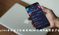 TPWallet币被盗了还能用吗？如何确保数字资产安全