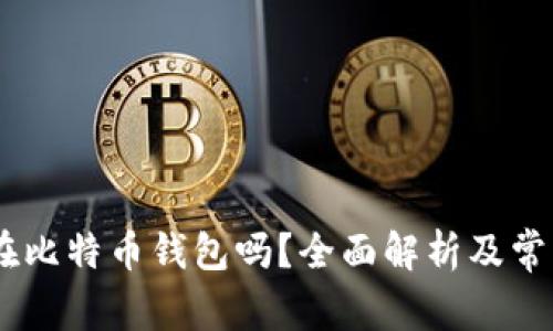 USDT能放在比特币钱包吗？全面解析及常见问题解答