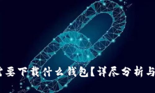 转USDT需要下载什么钱包？详尽分析与选择指导