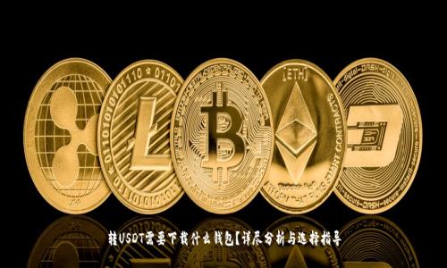 转USDT需要下载什么钱包？详尽分析与选择指导