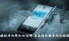 区块链中的零知识证明：