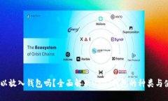 USDT可以放入钱包吗？全面