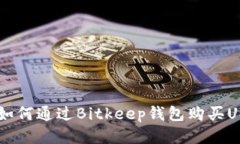 بياوتي如何通过Bitkeep钱包购买USDT的详细指南