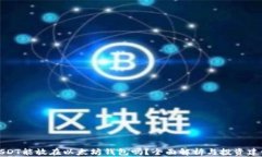 USDT能放在以太坊钱包吗？全面解析与投资建议