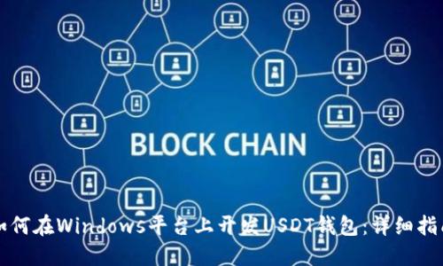 如何在Windows平台上开发USDT钱包：详细指南