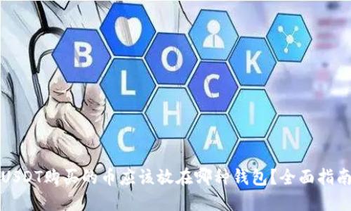 USDT购买的币应该放在哪种钱包？全面指南
