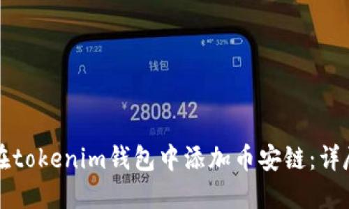 如何在tokenim钱包中添加币安链：详尽指南