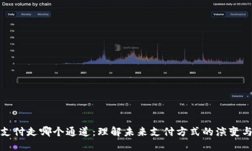无感支付走哪个通道：理解未来支付方式的演变与选择