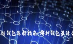 区块链钱包选择指南：哪种钱包最适合你？