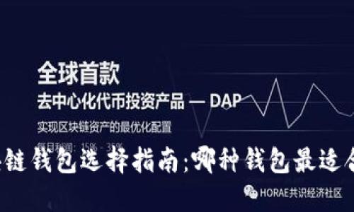区块链钱包选择指南：哪种钱包最适合你？