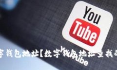 如何查询数字钱包地址？