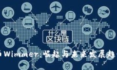 虚拟币Wimmer：崛起与未来