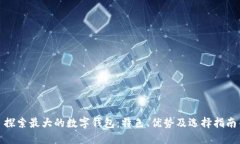 探索最大的数字钱包：特色、优势及选择指南