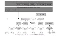 如何使用BK钱包转USDT：一