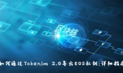 如何通过Tokenim 2.0导出EOS私钥：详细指南