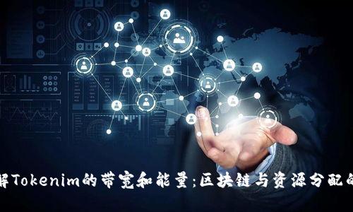 深入理解Tokenim的带宽和能量：区块链与资源分配的重要性