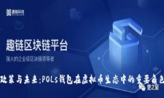 政策与未来：POLs钱包在虚