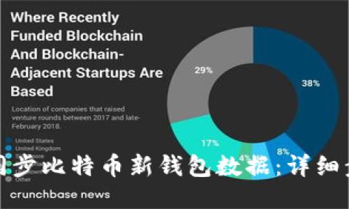 如何高效同步比特币新钱包数据：详细步骤与技巧
